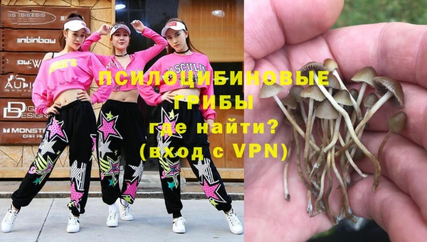 крисы Киренск