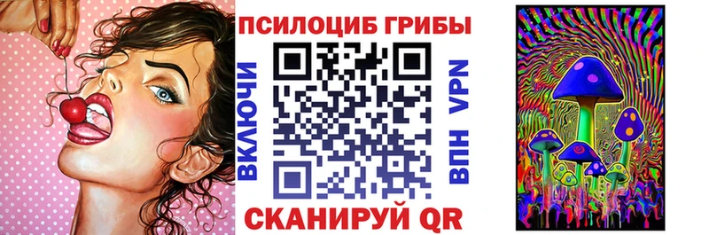 Псилоцибиновые грибы GOLDEN TEACHER  Купить  Стародуб 