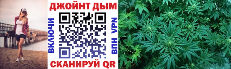 Шишки марихуана план  Купить закладки  Стародуб 